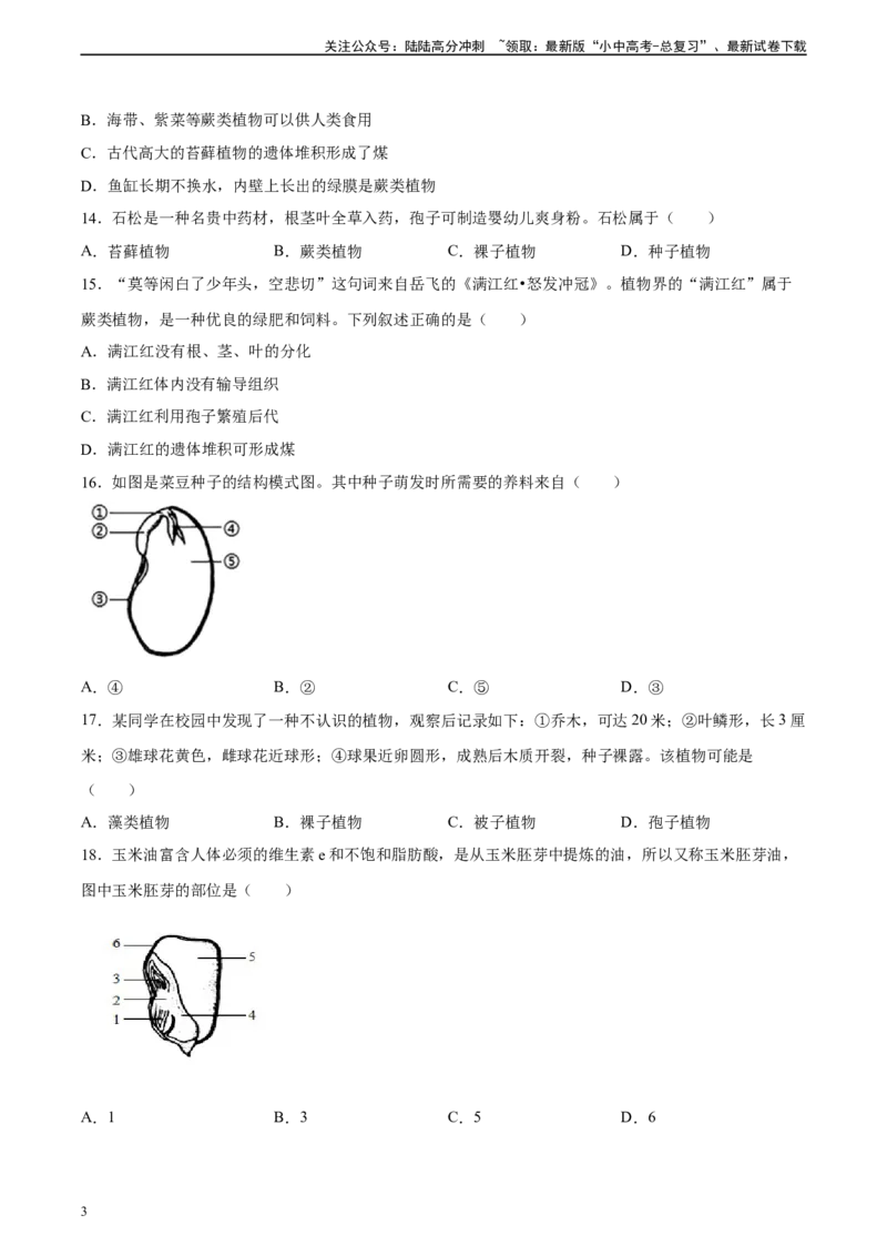 专题04生物圈中有哪些绿色植物（习题精练）（原卷版）_02中考总复习（2026版更新中）_08-生物-中考总复习_2024年中考复习资料_一轮复习_配套练习（原卷版+解析版）