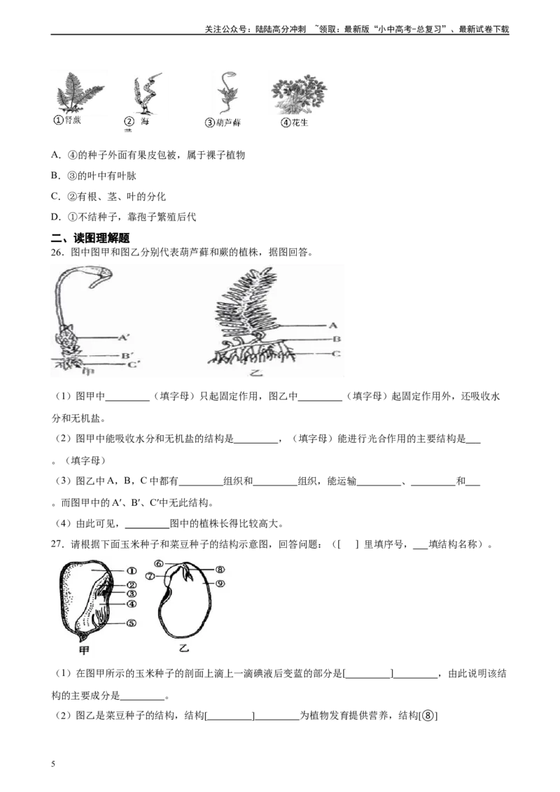 专题04生物圈中有哪些绿色植物（习题精练）（原卷版）_02中考总复习（2026版更新中）_08-生物-中考总复习_2024年中考复习资料_一轮复习_配套练习（原卷版+解析版）