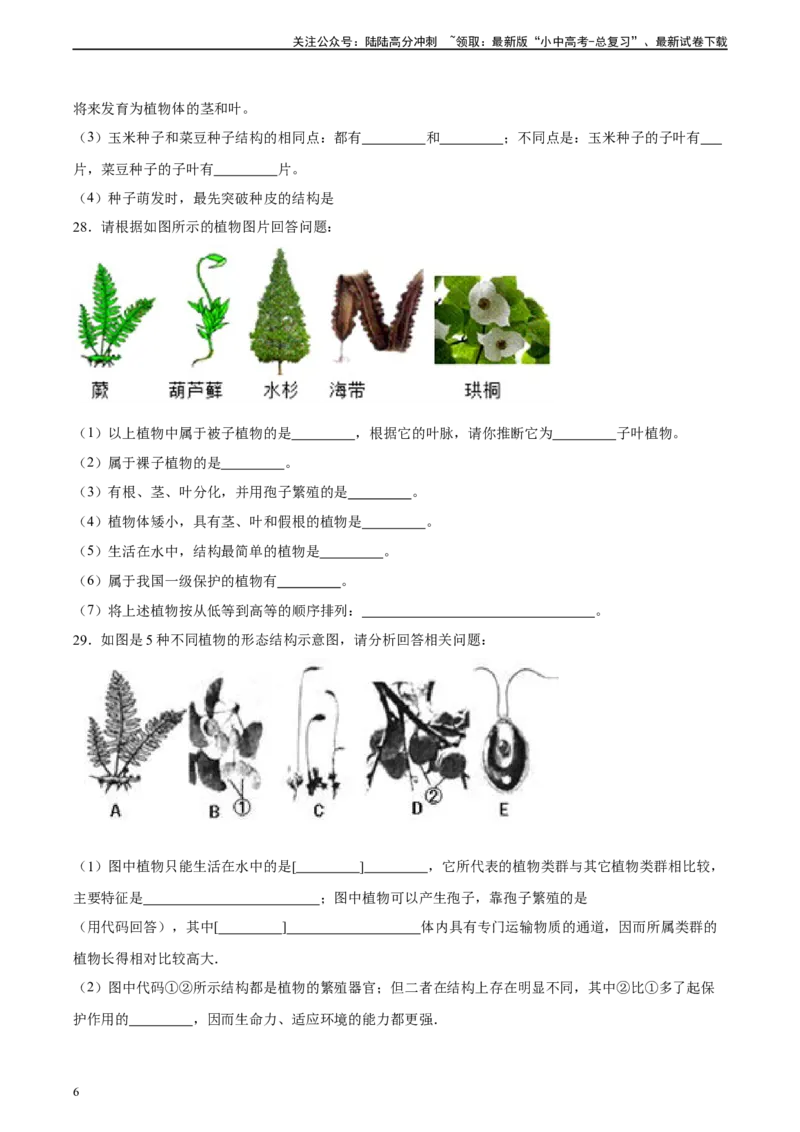 专题04生物圈中有哪些绿色植物（习题精练）（原卷版）_02中考总复习（2026版更新中）_08-生物-中考总复习_2024年中考复习资料_一轮复习_配套练习（原卷版+解析版）