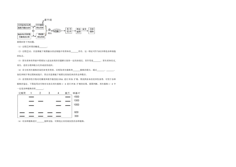 2013年天津市高考生物试卷_全国卷+地方卷_6.生物_1.生物高考真题试卷_2008-2020年_地方卷_天津高考生物07-21_A3word版_PDF版（赠送）