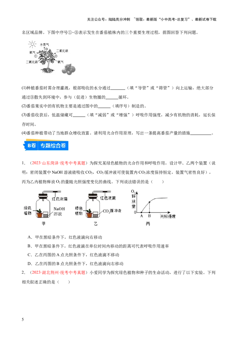 专题08绿色植物的呼吸作用（原卷版）_02中考总复习（2026版更新中）_08-生物-中考总复习_2024年中考复习资料_一轮复习_❤备战2024年中考生物一轮复习考点帮（全国通用）_练习