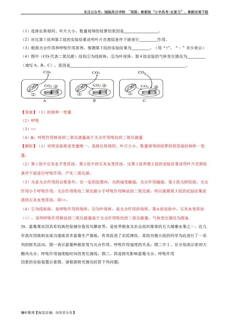 专题08绿色植物的呼吸作用（习题精练）（全国通用）（解析版）_02中考总复习（2026版更新中）_08-生物-中考总复习_2024年中考复习资料_一轮复习_配套练习（原卷版+解析版）_答案解析版