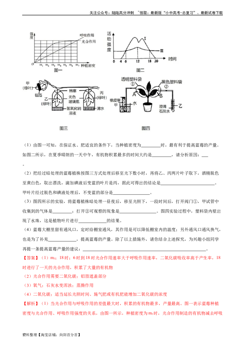 专题08绿色植物的呼吸作用（习题精练）（全国通用）（解析版）_02中考总复习（2026版更新中）_08-生物-中考总复习_2024年中考复习资料_一轮复习_配套练习（原卷版+解析版）_答案解析版