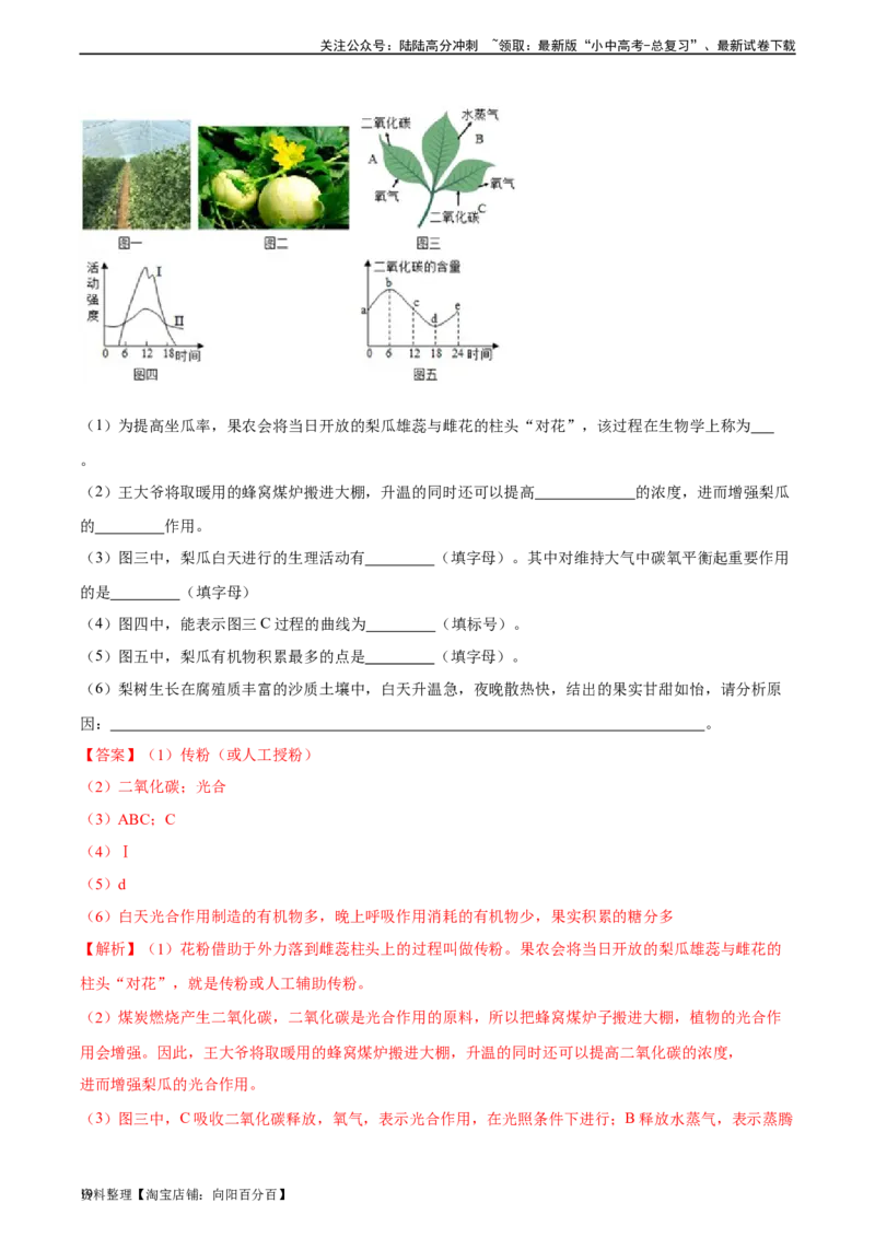 专题08绿色植物的呼吸作用（习题精练）（全国通用）（解析版）_02中考总复习（2026版更新中）_08-生物-中考总复习_2024年中考复习资料_一轮复习_配套练习（原卷版+解析版）_答案解析版
