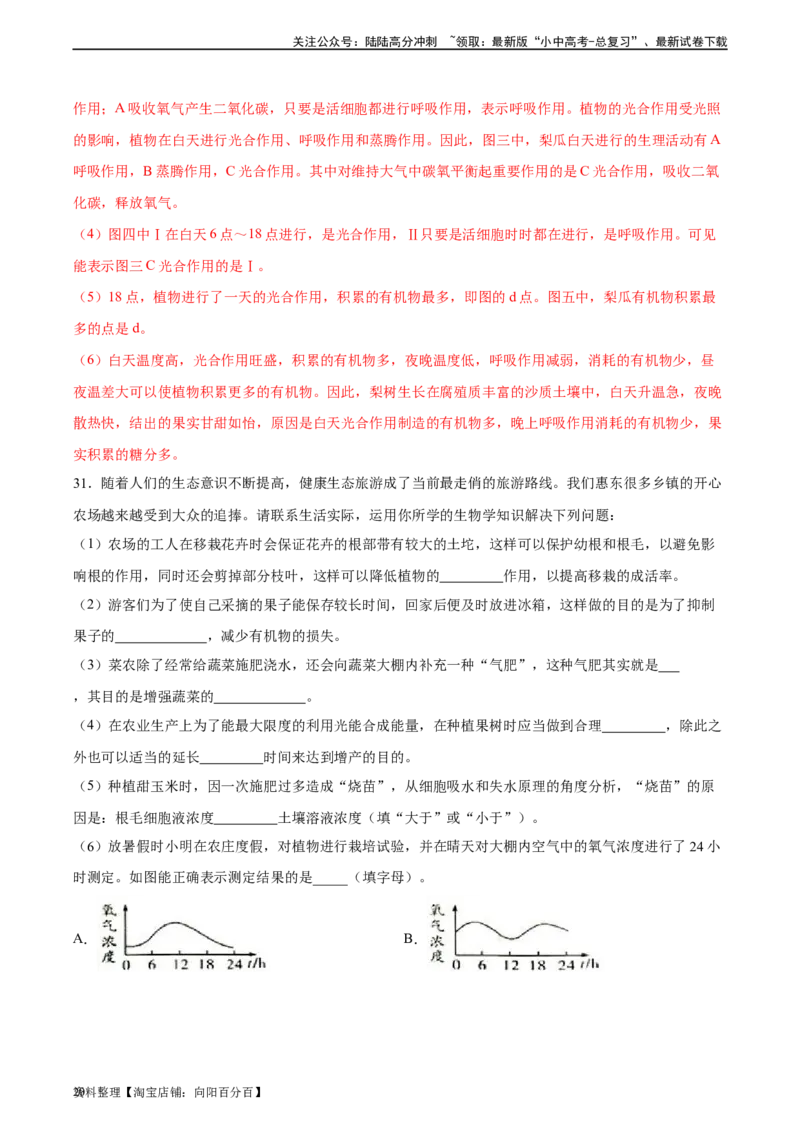 专题08绿色植物的呼吸作用（习题精练）（全国通用）（解析版）_02中考总复习（2026版更新中）_08-生物-中考总复习_2024年中考复习资料_一轮复习_配套练习（原卷版+解析版）_答案解析版