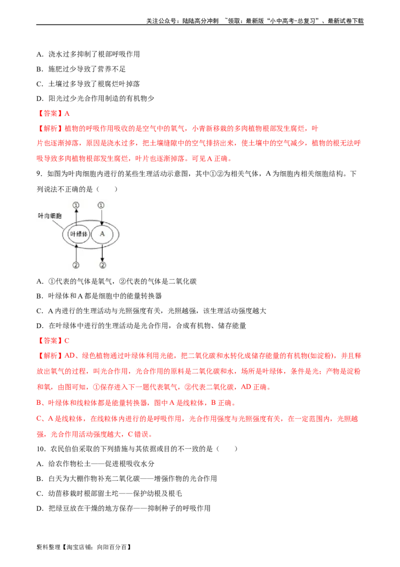 专题08绿色植物的呼吸作用（习题精练）（全国通用）（解析版）_02中考总复习（2026版更新中）_08-生物-中考总复习_2024年中考复习资料_一轮复习_配套练习（原卷版+解析版）_答案解析版
