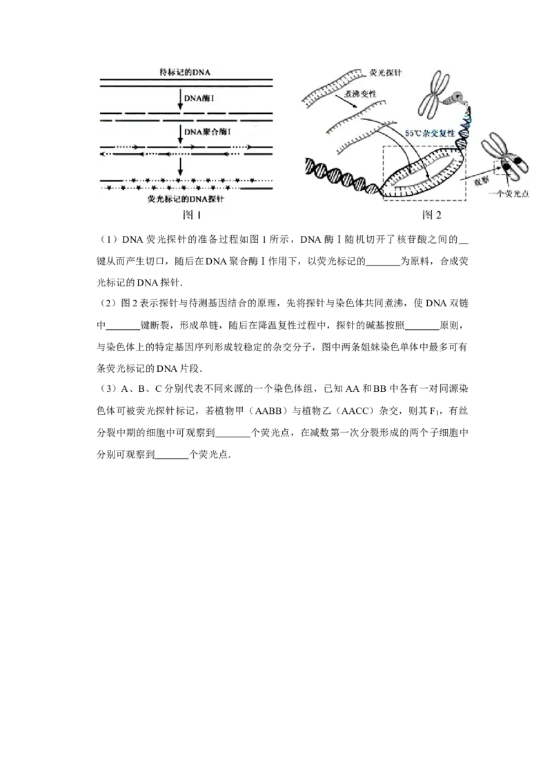 2015年江苏省高考生物试卷_全国卷+地方卷_6.生物_1.生物高考真题试卷_2008-2020年_地方卷_江苏高考生物07-20_A4word版