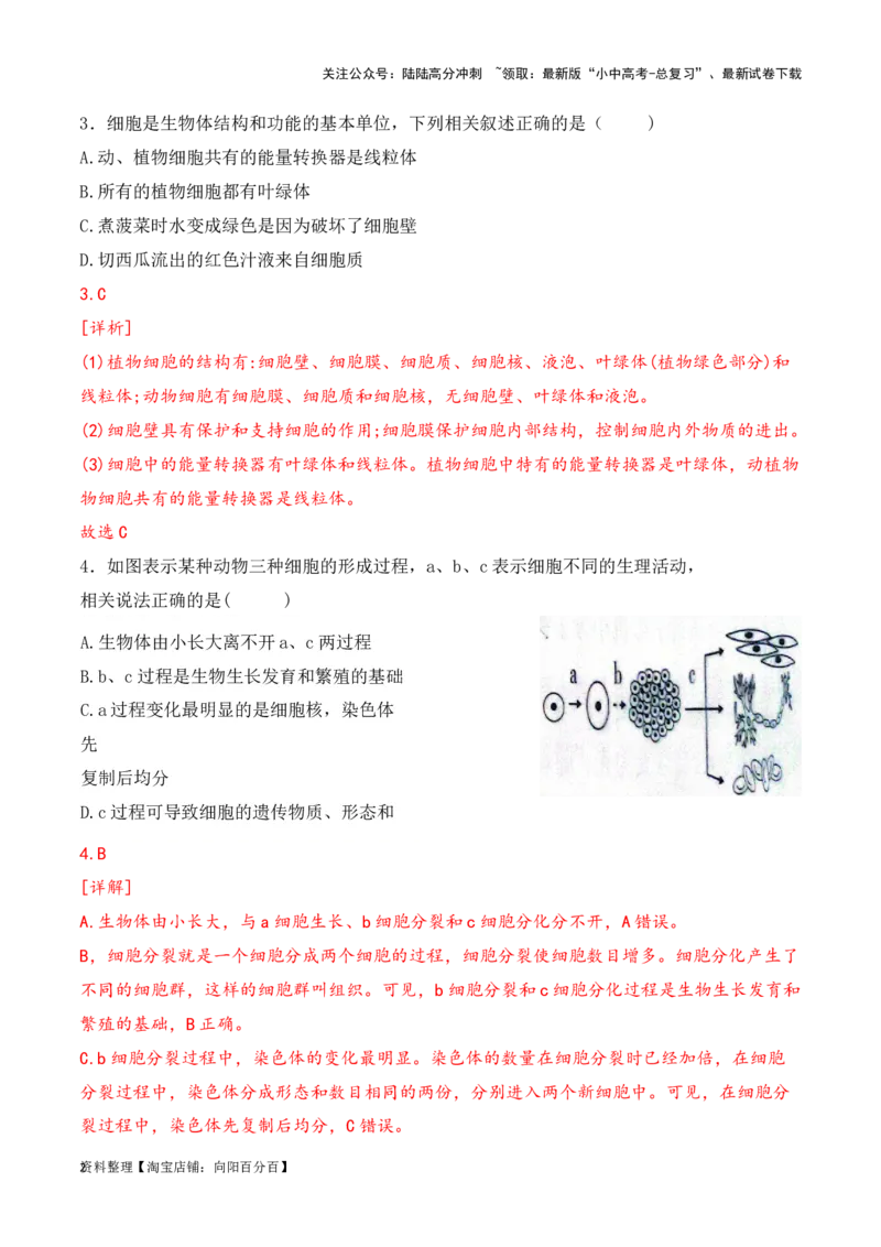 专题05生物体的结构层次（解析版）_02中考总复习（2026版更新中）_08-生物-中考总复习_2024年中考复习资料_一轮复习_配套练习_教师版（含答案解析）