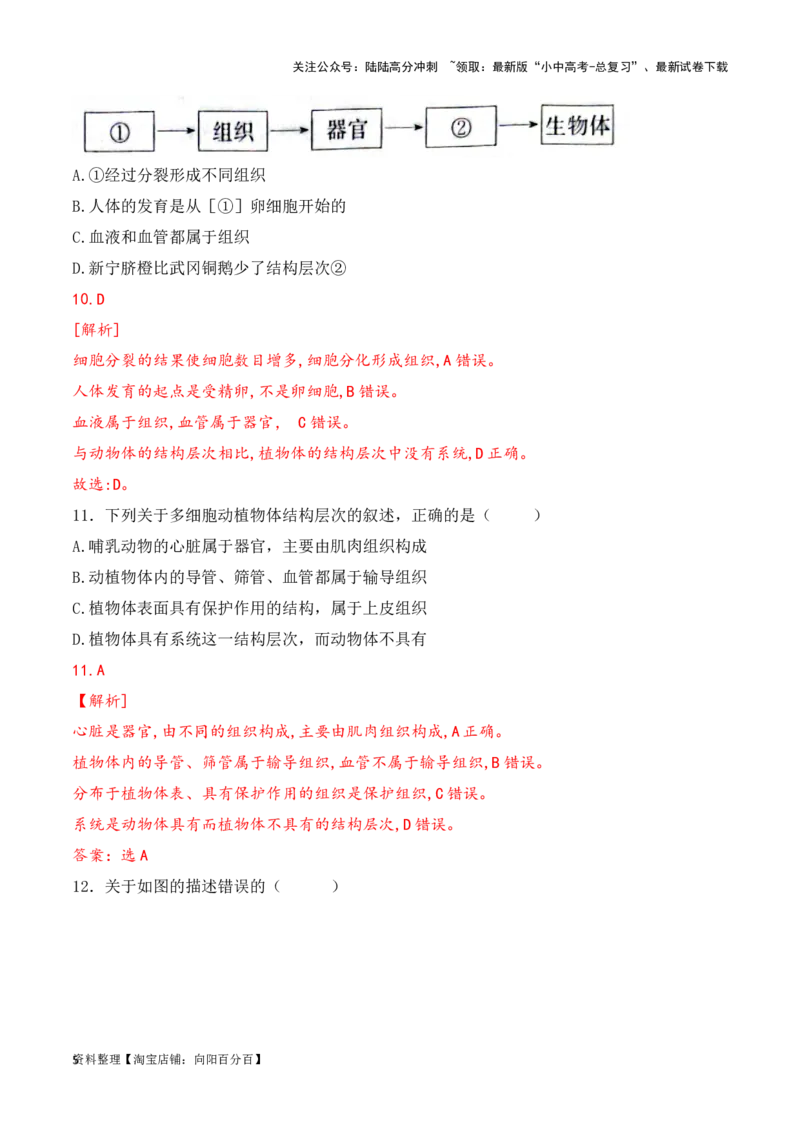 专题05生物体的结构层次（解析版）_02中考总复习（2026版更新中）_08-生物-中考总复习_2024年中考复习资料_一轮复习_配套练习_教师版（含答案解析）