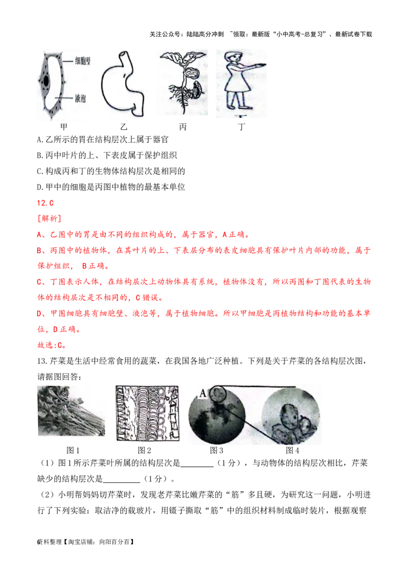 专题05生物体的结构层次（解析版）_02中考总复习（2026版更新中）_08-生物-中考总复习_2024年中考复习资料_一轮复习_配套练习_教师版（含答案解析）