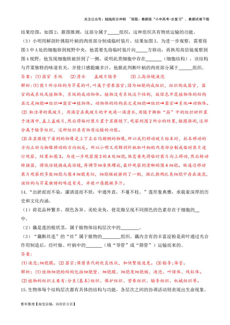 专题05生物体的结构层次（解析版）_02中考总复习（2026版更新中）_08-生物-中考总复习_2024年中考复习资料_一轮复习_配套练习_教师版（含答案解析）