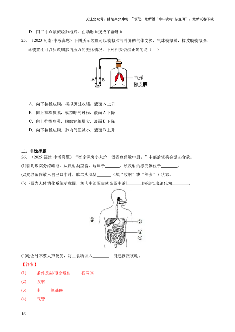 专题05人体的营养和呼吸（全国通用）（原卷版）_02中考总复习（2026版更新中）_08-生物-中考总复习_2026年中考复习（更新中）