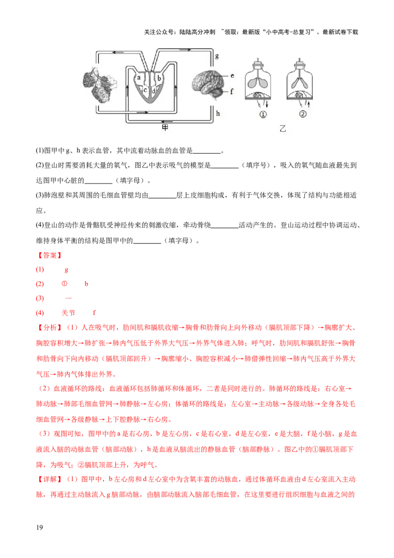 专题05人体的营养和呼吸（全国通用）（原卷版）_02中考总复习（2026版更新中）_08-生物-中考总复习_2026年中考复习（更新中）