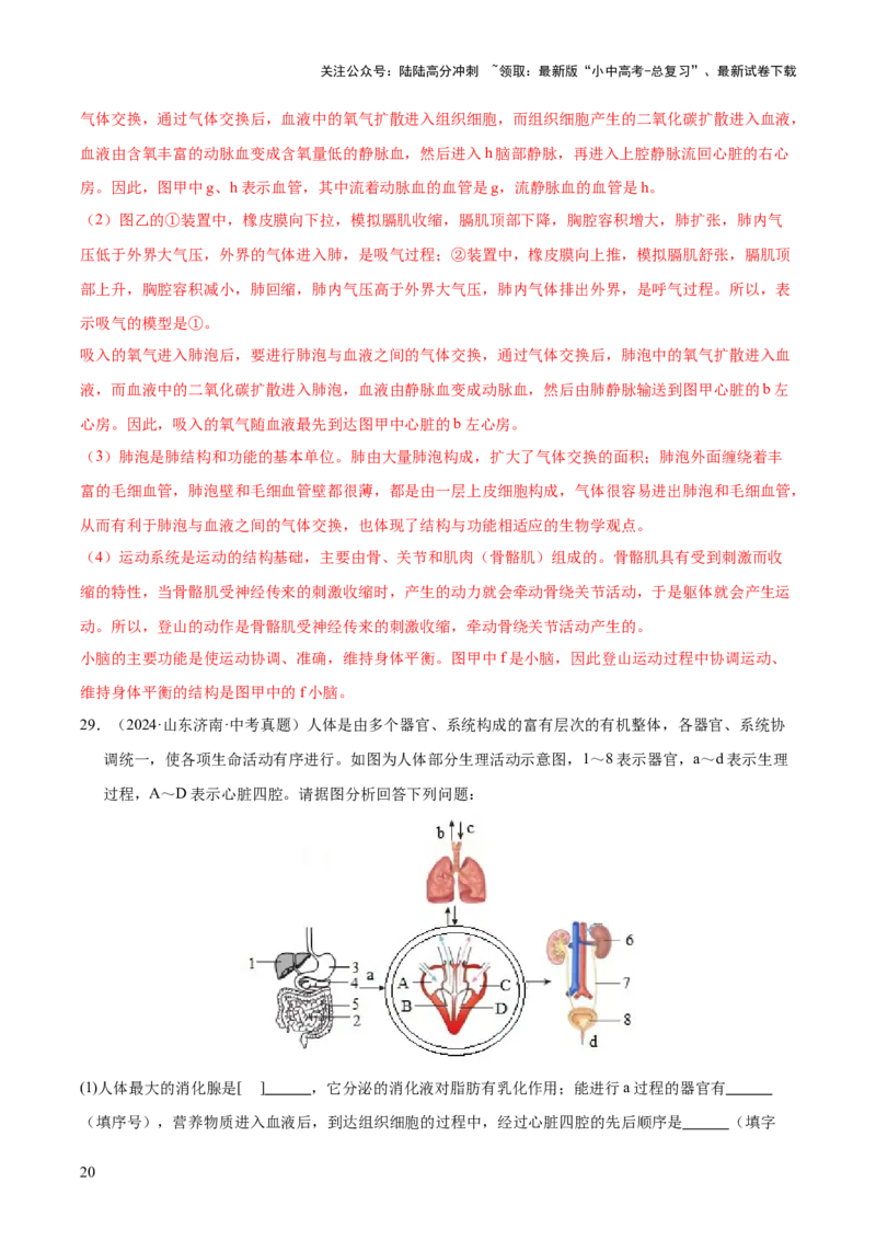 专题05人体的营养和呼吸（全国通用）（原卷版）_02中考总复习（2026版更新中）_08-生物-中考总复习_2026年中考复习（更新中）