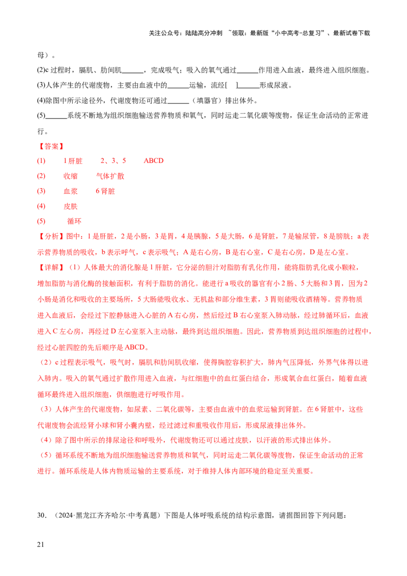 专题05人体的营养和呼吸（全国通用）（原卷版）_02中考总复习（2026版更新中）_08-生物-中考总复习_2026年中考复习（更新中）