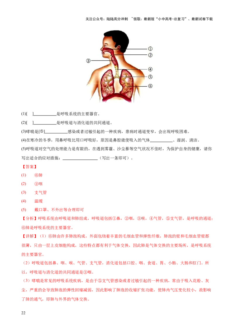 专题05人体的营养和呼吸（全国通用）（原卷版）_02中考总复习（2026版更新中）_08-生物-中考总复习_2026年中考复习（更新中）