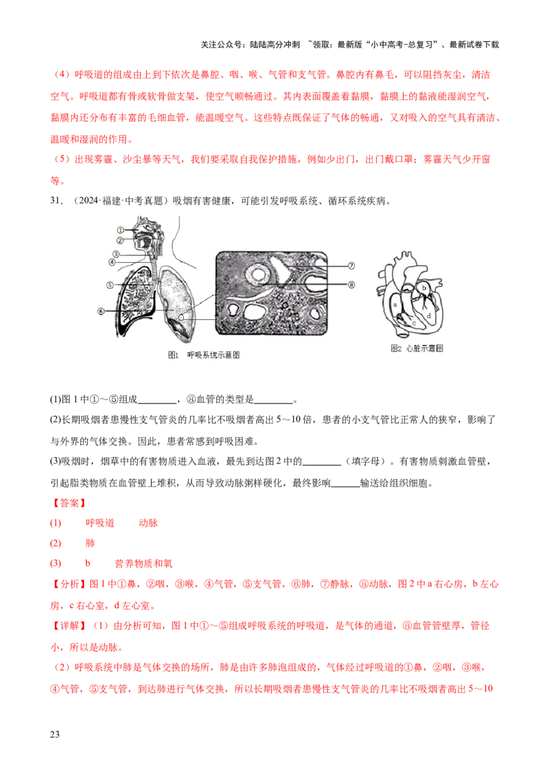 专题05人体的营养和呼吸（全国通用）（原卷版）_02中考总复习（2026版更新中）_08-生物-中考总复习_2026年中考复习（更新中）