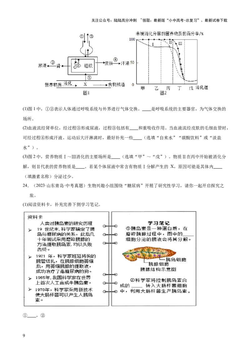 专题05人体的营养和呼吸（全国通用）（原卷版）_02中考总复习（2026版更新中）_08-生物-中考总复习_2026年中考复习（更新中）