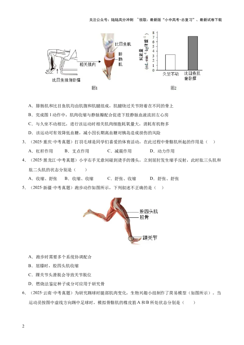 专题08动物的运动和行为（全国通用）（原卷版）_02中考总复习（2026版更新中）_08-生物-中考总复习_2026年中考复习（更新中）