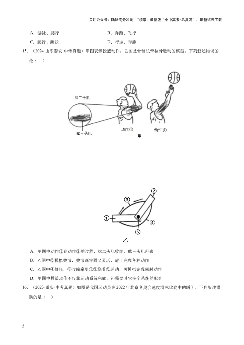 专题08动物的运动和行为（全国通用）（原卷版）_02中考总复习（2026版更新中）_08-生物-中考总复习_2026年中考复习（更新中）