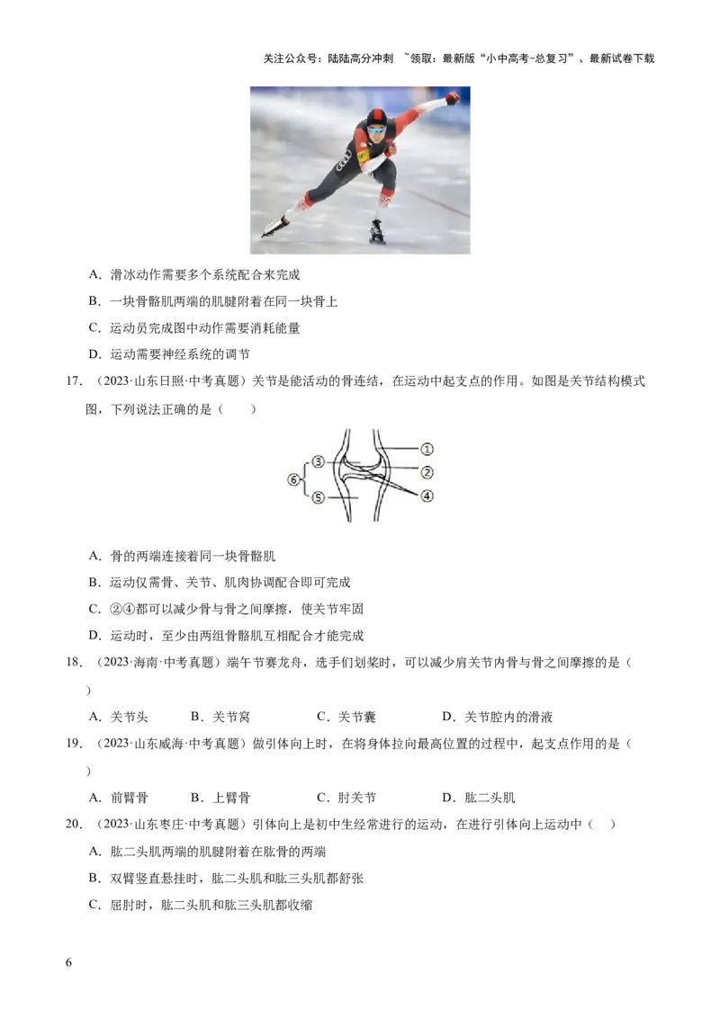 专题08动物的运动和行为（全国通用）（原卷版）_02中考总复习（2026版更新中）_08-生物-中考总复习_2026年中考复习（更新中）