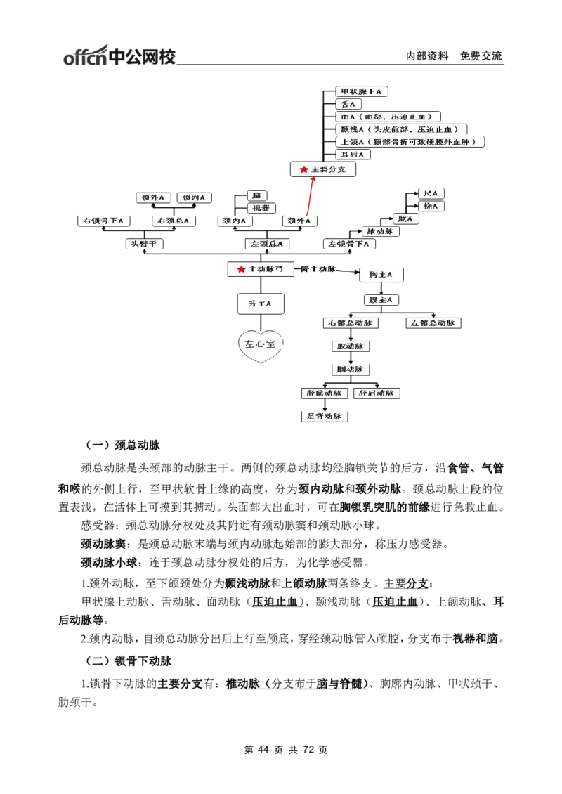 1专项讲解班-《系统解剖学》-学员版_26事业职测+综合_闲鱼2026事业单位职测+综合_2.综应或写作等_00ABCDE类综应笔记_05综应e类笔记_2.医学基础讲义题目