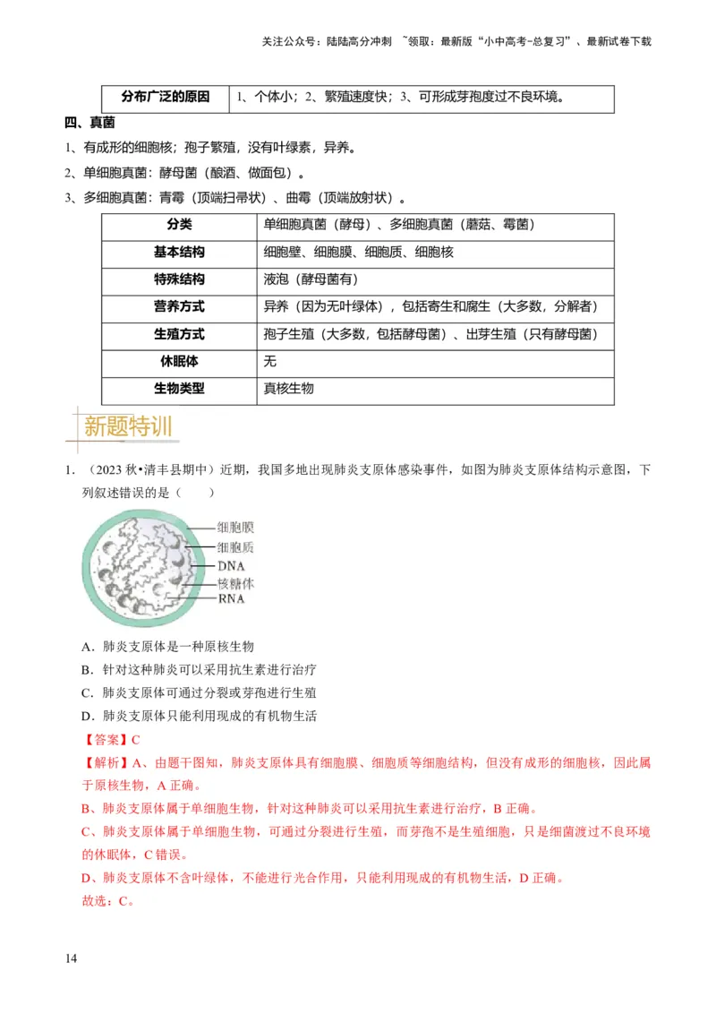 专题04细菌、真菌和病毒（解析版）_02中考总复习（2026版更新中）_08-生物-中考总复习_2024年中考复习资料_专项复习_备战2024年中考生物真题题源解密