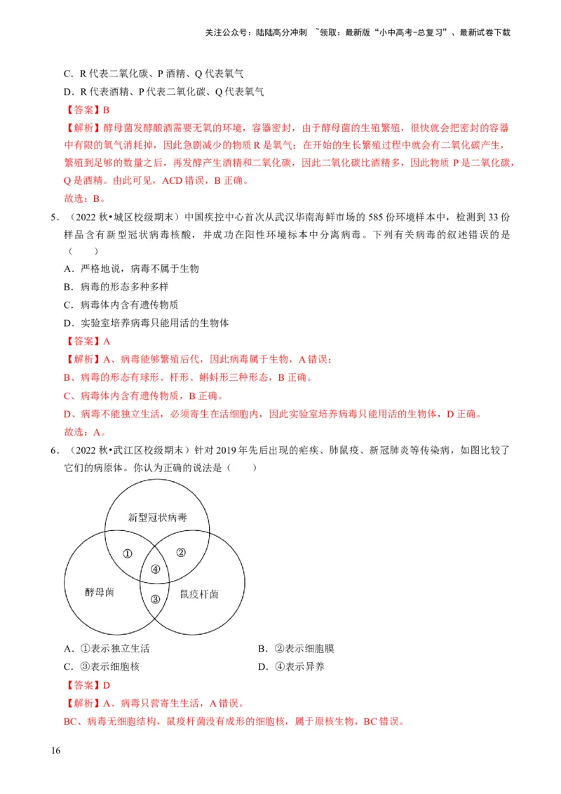 专题04细菌、真菌和病毒（解析版）_02中考总复习（2026版更新中）_08-生物-中考总复习_2024年中考复习资料_专项复习_备战2024年中考生物真题题源解密