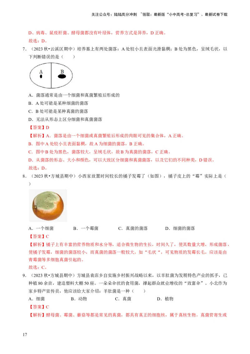 专题04细菌、真菌和病毒（解析版）_02中考总复习（2026版更新中）_08-生物-中考总复习_2024年中考复习资料_专项复习_备战2024年中考生物真题题源解密