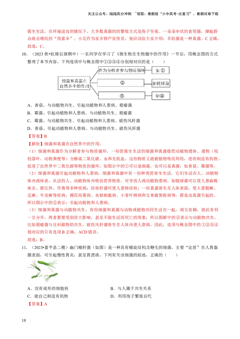 专题04细菌、真菌和病毒（解析版）_02中考总复习（2026版更新中）_08-生物-中考总复习_2024年中考复习资料_专项复习_备战2024年中考生物真题题源解密