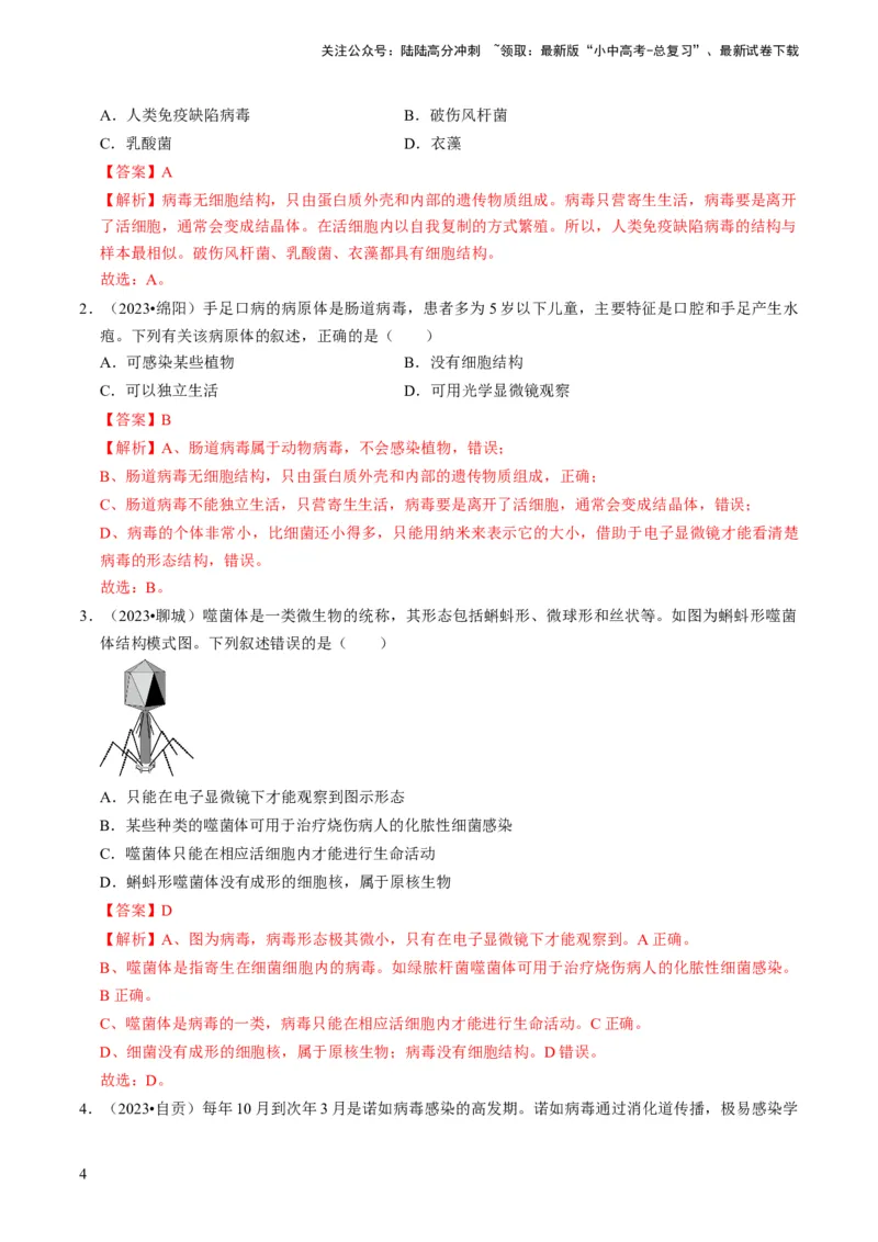 专题04细菌、真菌和病毒（解析版）_02中考总复习（2026版更新中）_08-生物-中考总复习_2024年中考复习资料_专项复习_备战2024年中考生物真题题源解密