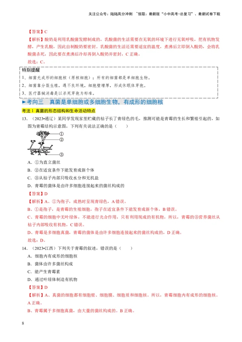 专题04细菌、真菌和病毒（解析版）_02中考总复习（2026版更新中）_08-生物-中考总复习_2024年中考复习资料_专项复习_备战2024年中考生物真题题源解密