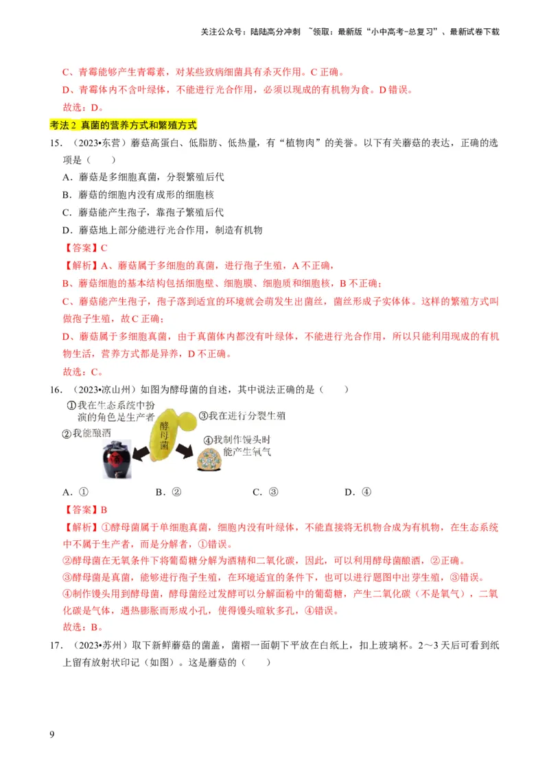 专题04细菌、真菌和病毒（解析版）_02中考总复习（2026版更新中）_08-生物-中考总复习_2024年中考复习资料_专项复习_备战2024年中考生物真题题源解密