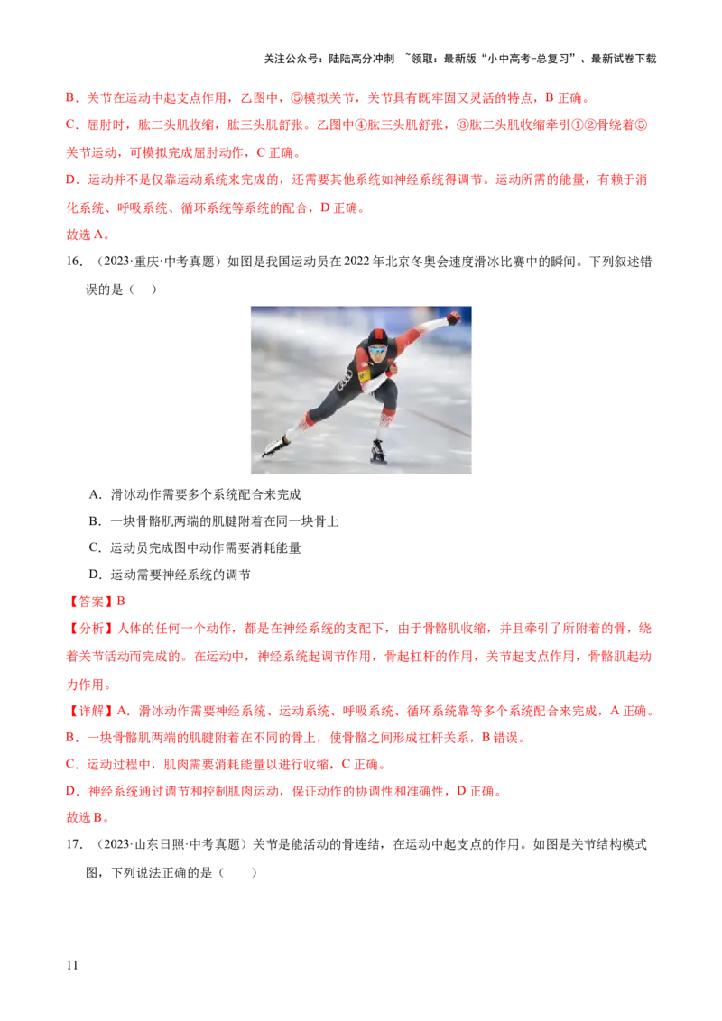 专题08动物的运动和行为（全国通用）（解析版）_02中考总复习（2026版更新中）_08-生物-中考总复习_2026年中考复习（更新中）