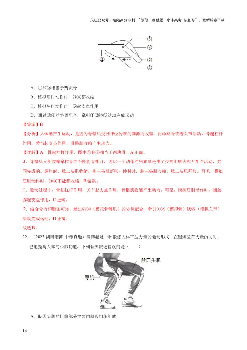 专题08动物的运动和行为（全国通用）（解析版）_02中考总复习（2026版更新中）_08-生物-中考总复习_2026年中考复习（更新中）