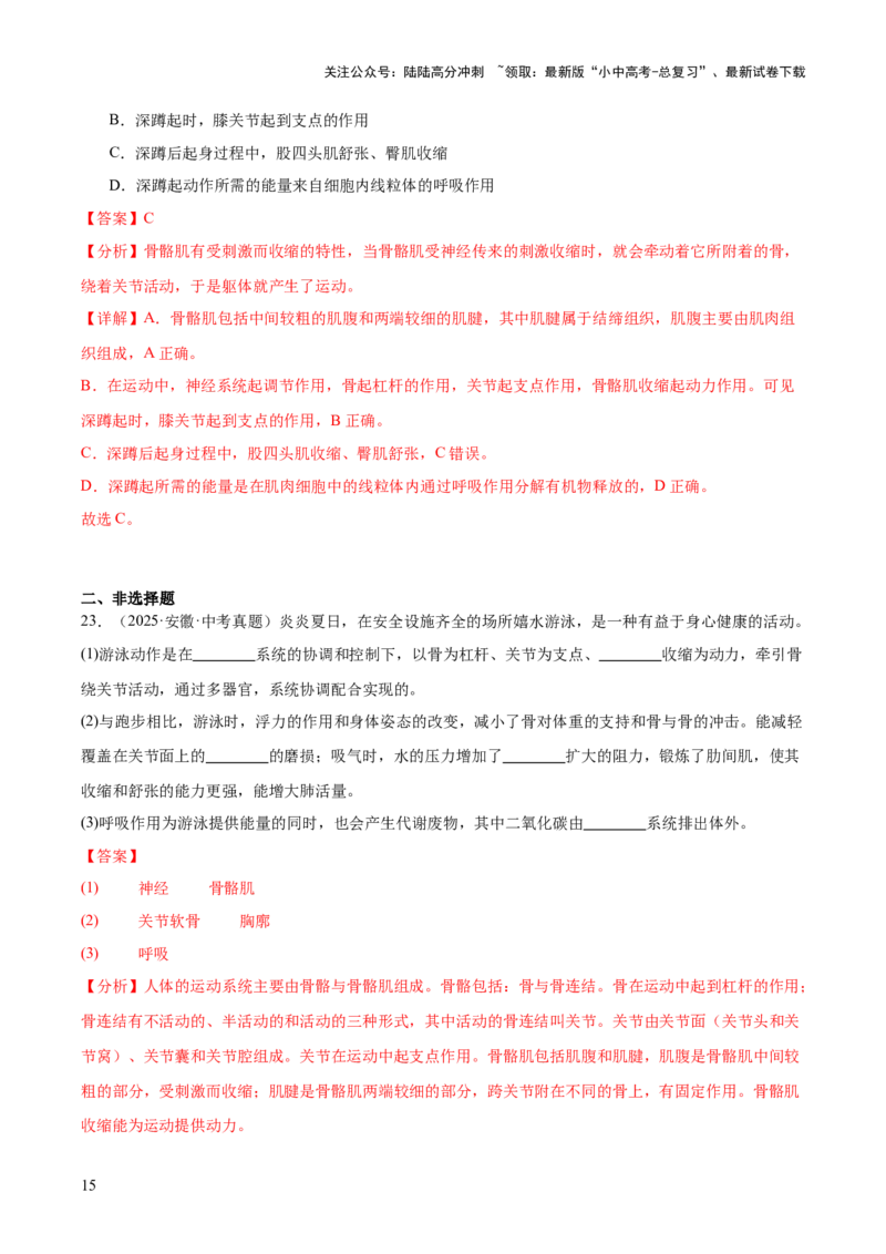 专题08动物的运动和行为（全国通用）（解析版）_02中考总复习（2026版更新中）_08-生物-中考总复习_2026年中考复习（更新中）