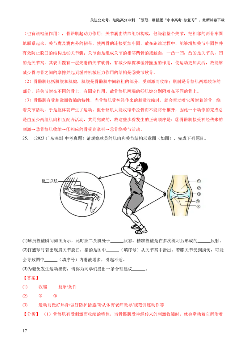 专题08动物的运动和行为（全国通用）（解析版）_02中考总复习（2026版更新中）_08-生物-中考总复习_2026年中考复习（更新中）