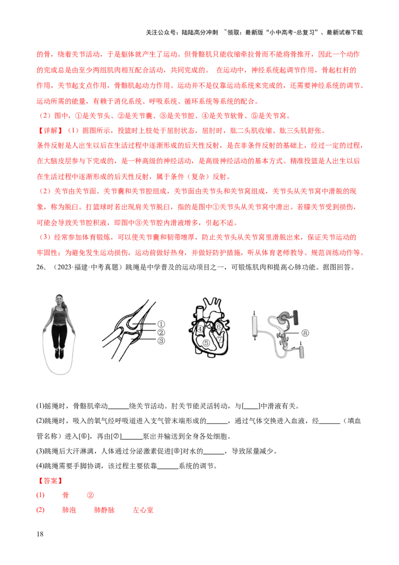 专题08动物的运动和行为（全国通用）（解析版）_02中考总复习（2026版更新中）_08-生物-中考总复习_2026年中考复习（更新中）