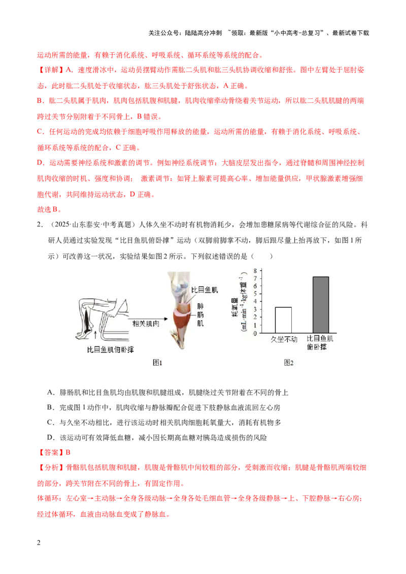 专题08动物的运动和行为（全国通用）（解析版）_02中考总复习（2026版更新中）_08-生物-中考总复习_2026年中考复习（更新中）