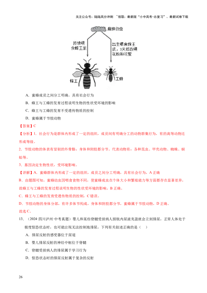 专题08动物的运动和行为（全国通用）（解析版）_02中考总复习（2026版更新中）_08-生物-中考总复习_2026年中考复习（更新中）