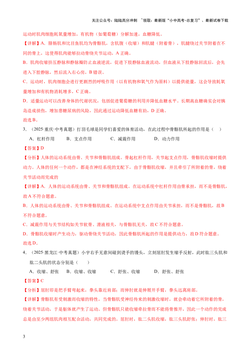 专题08动物的运动和行为（全国通用）（解析版）_02中考总复习（2026版更新中）_08-生物-中考总复习_2026年中考复习（更新中）