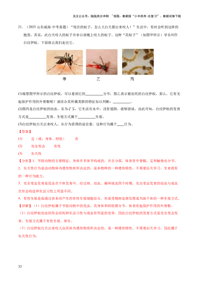 专题08动物的运动和行为（全国通用）（解析版）_02中考总复习（2026版更新中）_08-生物-中考总复习_2026年中考复习（更新中）