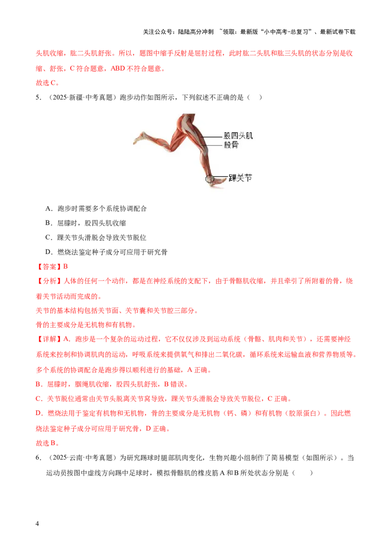 专题08动物的运动和行为（全国通用）（解析版）_02中考总复习（2026版更新中）_08-生物-中考总复习_2026年中考复习（更新中）