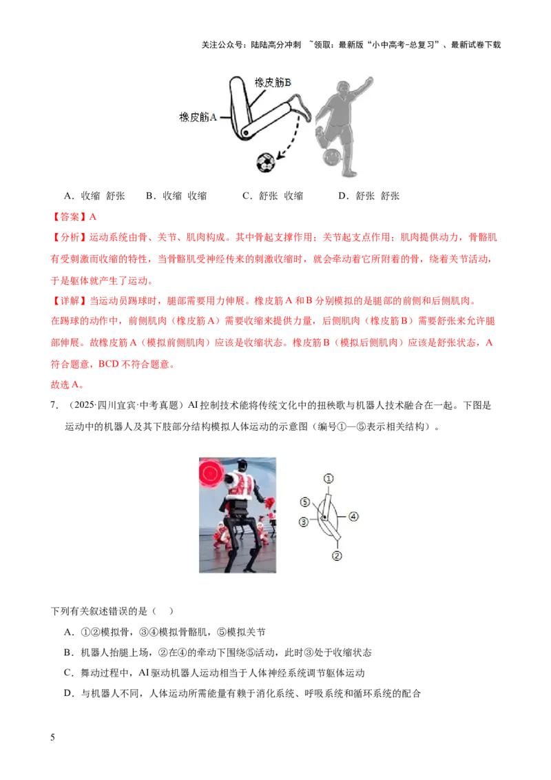 专题08动物的运动和行为（全国通用）（解析版）_02中考总复习（2026版更新中）_08-生物-中考总复习_2026年中考复习（更新中）