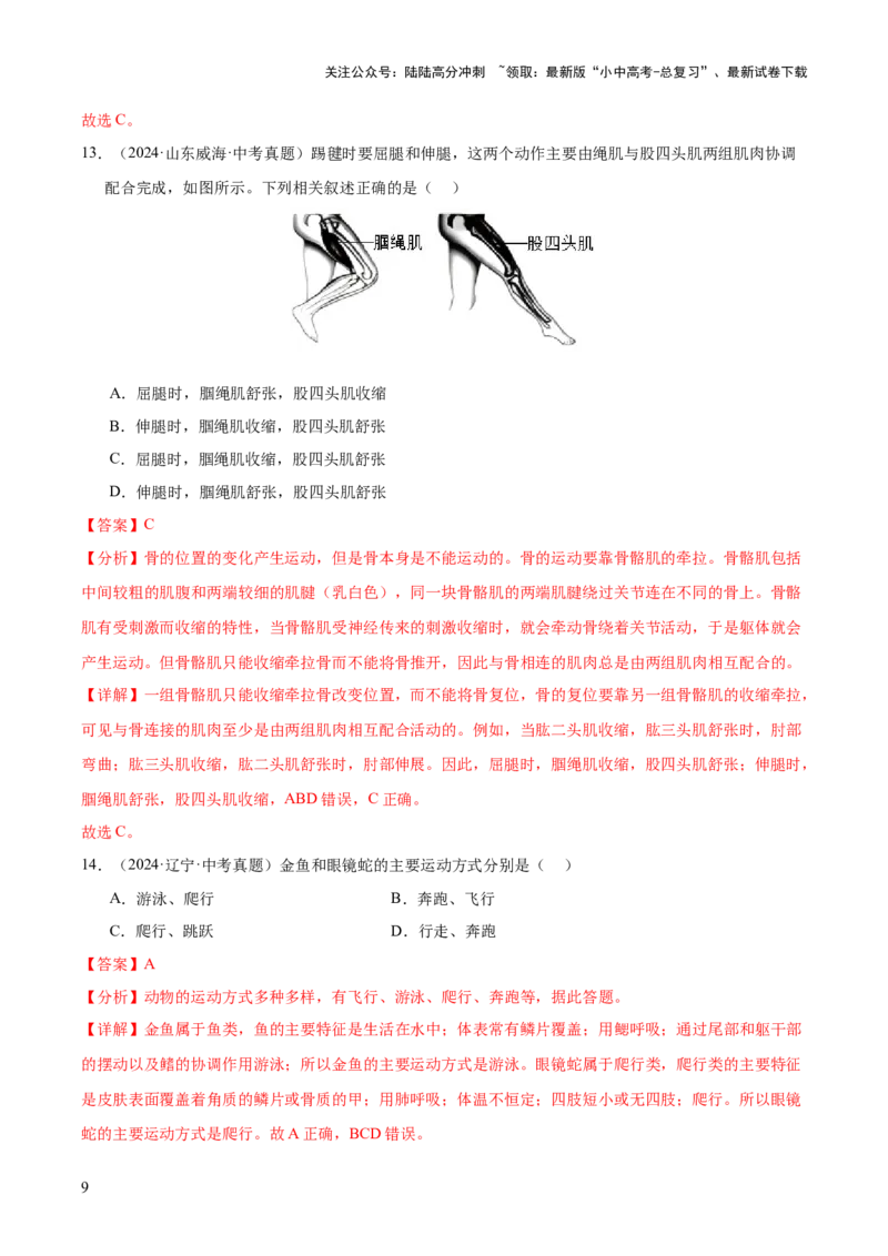专题08动物的运动和行为（全国通用）（解析版）_02中考总复习（2026版更新中）_08-生物-中考总复习_2026年中考复习（更新中）