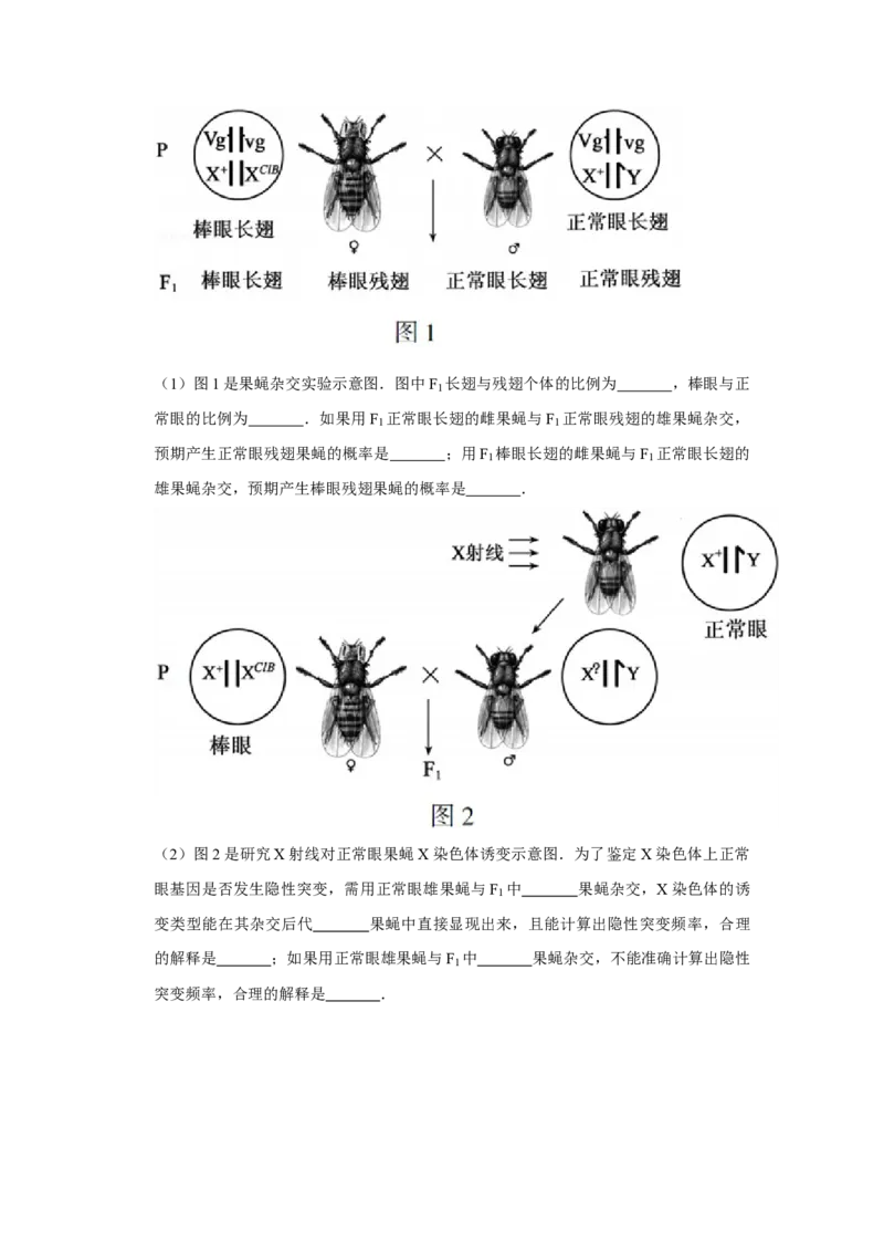 2014年江苏省高考生物试卷_全国卷+地方卷_6.生物_1.生物高考真题试卷_2008-2020年_地方卷_江苏高考生物07-20_A4word版