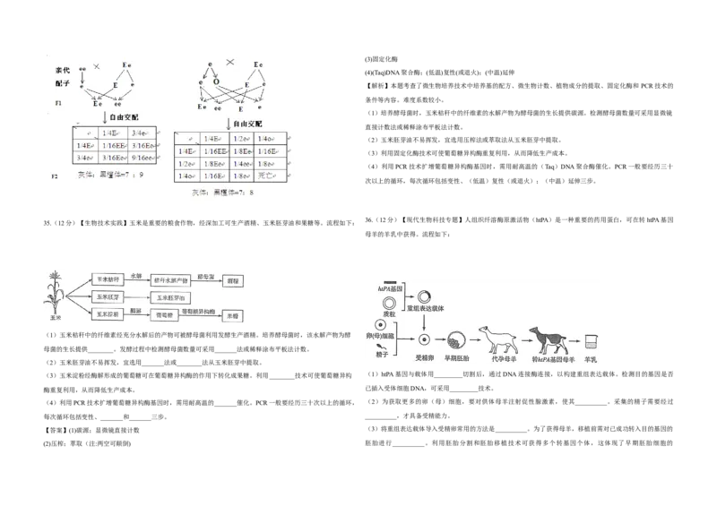 2014年高考真题生物（山东卷）（解析版）_全国卷+地方卷_6.生物_1.生物高考真题试卷_2008-2020年_地方卷_山东高考生物08-21_山东高考生物_A3版