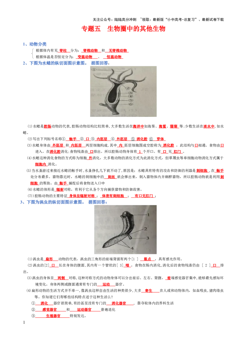 专题05生物圈中的其他生物（背诵版）_02中考总复习（2026版更新中）_08-生物-中考总复习_2025中考复习资料_2025年中考生物知识梳理_专题05生物圈中的其他生物_专题05生物圈中的其他生物