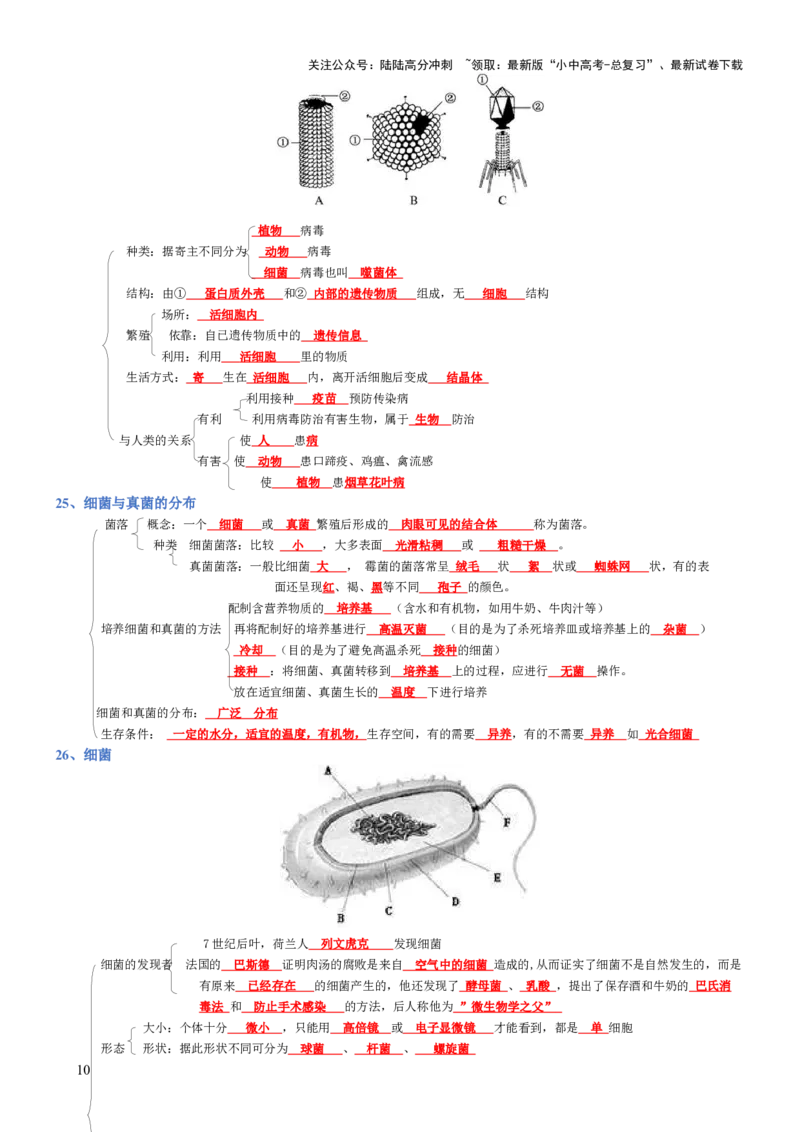 专题05生物圈中的其他生物（背诵版）_02中考总复习（2026版更新中）_08-生物-中考总复习_2025中考复习资料_2025年中考生物知识梳理_专题05生物圈中的其他生物_专题05生物圈中的其他生物