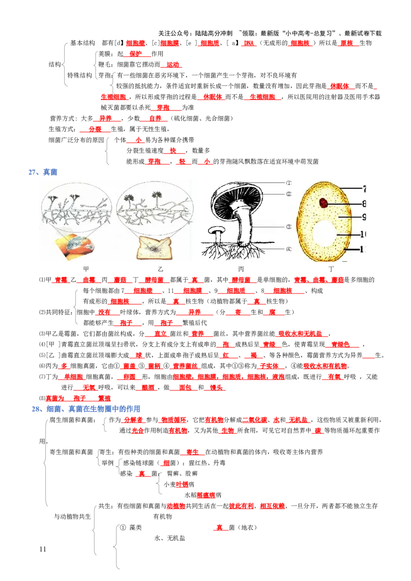 专题05生物圈中的其他生物（背诵版）_02中考总复习（2026版更新中）_08-生物-中考总复习_2025中考复习资料_2025年中考生物知识梳理_专题05生物圈中的其他生物_专题05生物圈中的其他生物